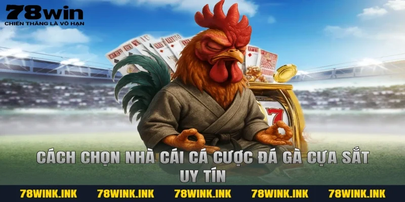 Cách chọn nhà cái cá cược đá gà cựa sắt uy tín