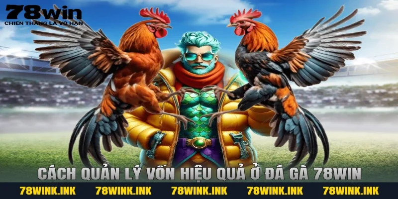 Cách quản lý vốn hiệu quả ở đá gà 78win