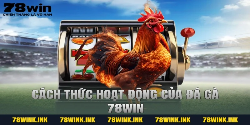 Cách thức hoạt động của đá gà 78win