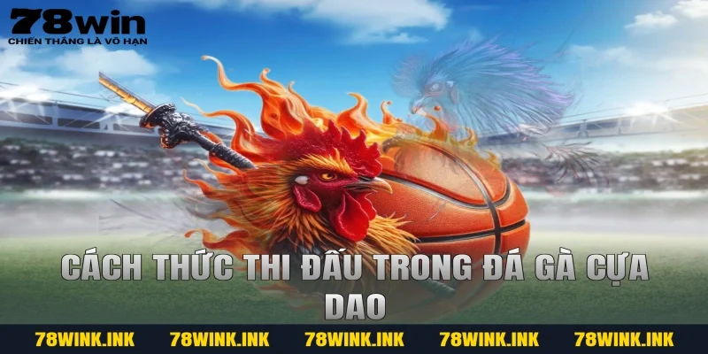 Cách thức thi đấu trong đá gà cựa dao