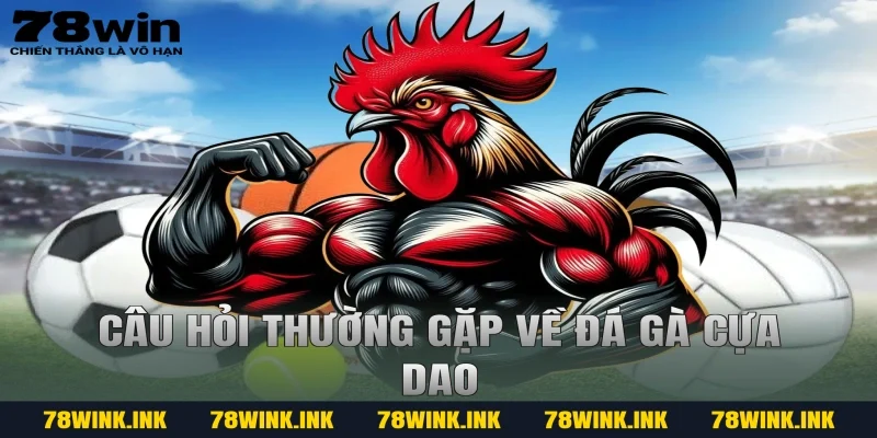 Câu hỏi thường gặp về đá gà cựa dao