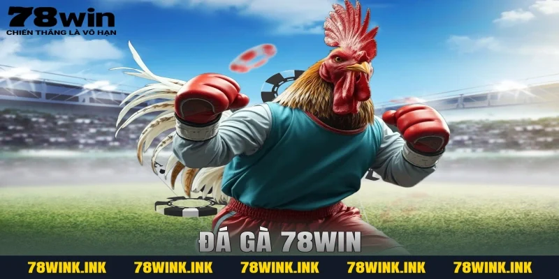 Đá Gà 78WIN – Đấu Trường Kịch Tính, Cược Dễ Thắng Mỗi Ngày