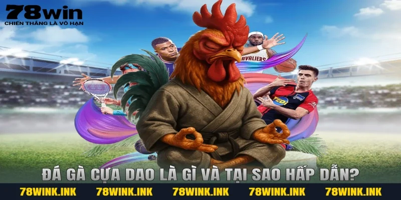 Đá gà cựa dao là gì và tại sao hấp dẫn?