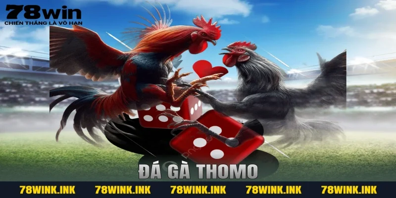 Đá Gà Thomo 78WIN – Trải Nghiệm Cá Cược Kịch Tính, Hợp Pháp