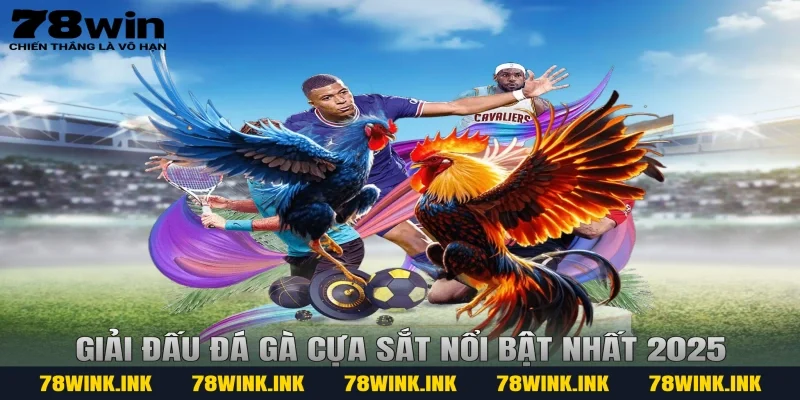 Giải đấu đá gà cựa sắt nổi bật nhất 2025