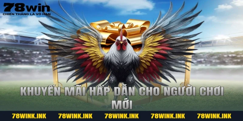 Khuyến mãi hấp dẫn cho người chơi mới