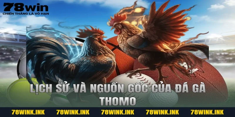 Lịch sử và nguồn gốc của đá gà thomo