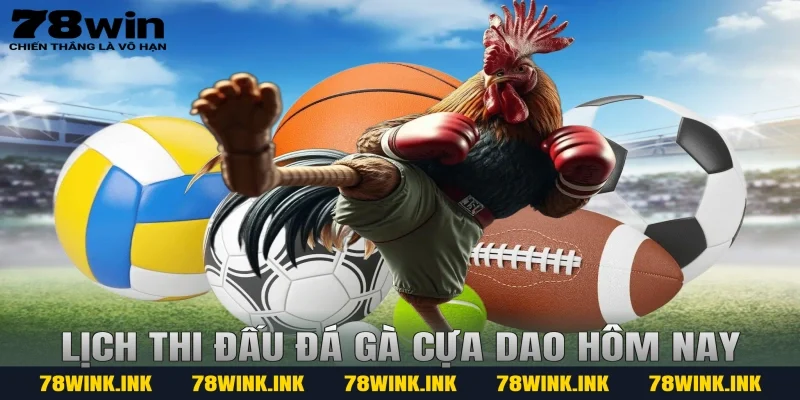 Lịch thi đấu đá gà cựa dao hôm nay