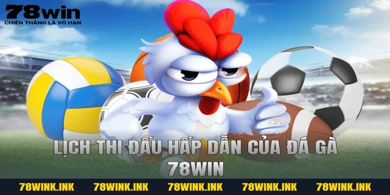 Lịch thi đấu hấp dẫn của đá gà 78win