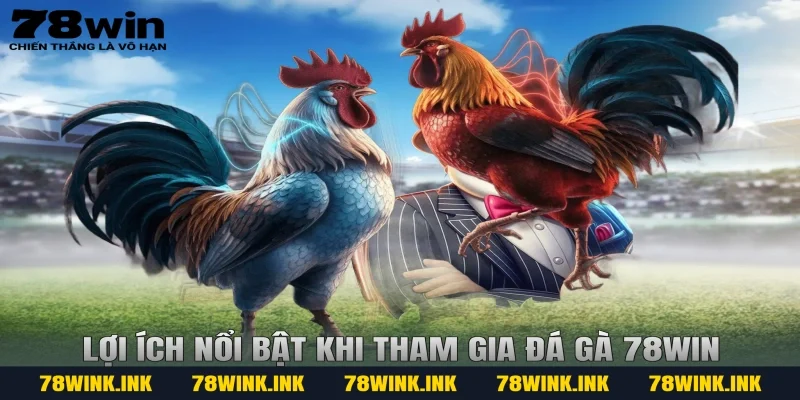 Lợi ích nổi bật khi tham gia đá gà 78win