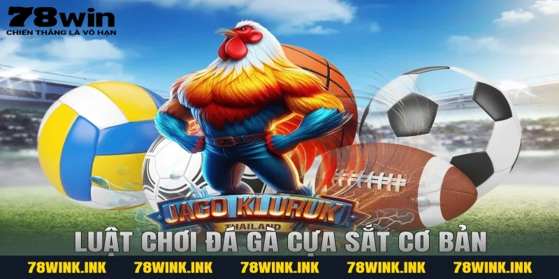 Luật chơi đá gà cựa sắt cơ bản