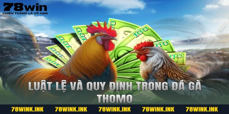 Luật lệ và quy định trong đá gà thomo