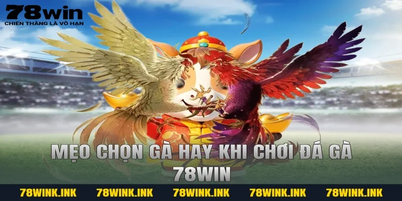 Mẹo chọn gà hay khi chơi đá gà 78win