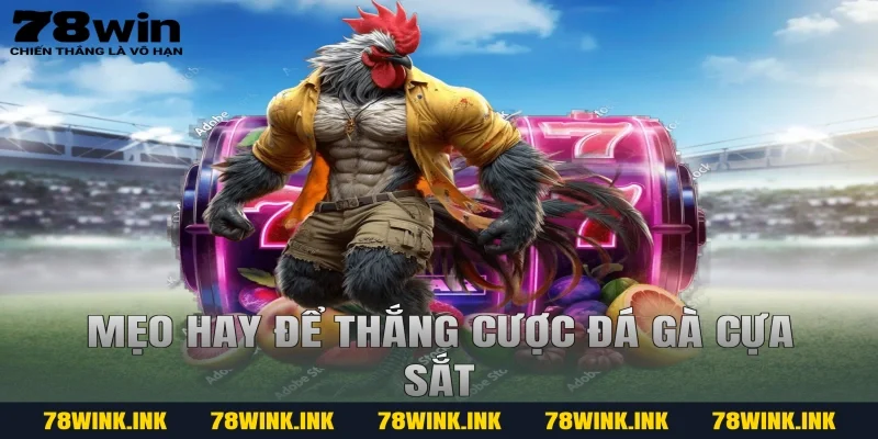 Mẹo hay để thắng cược đá gà cựa sắt