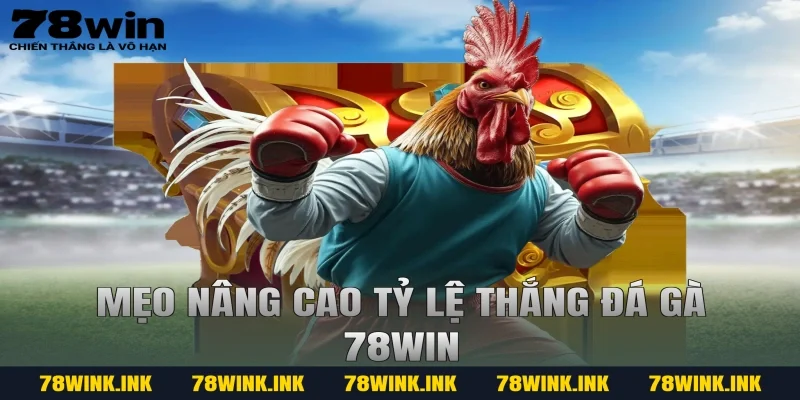 Mẹo nâng cao tỷ lệ thắng đá gà 78win
