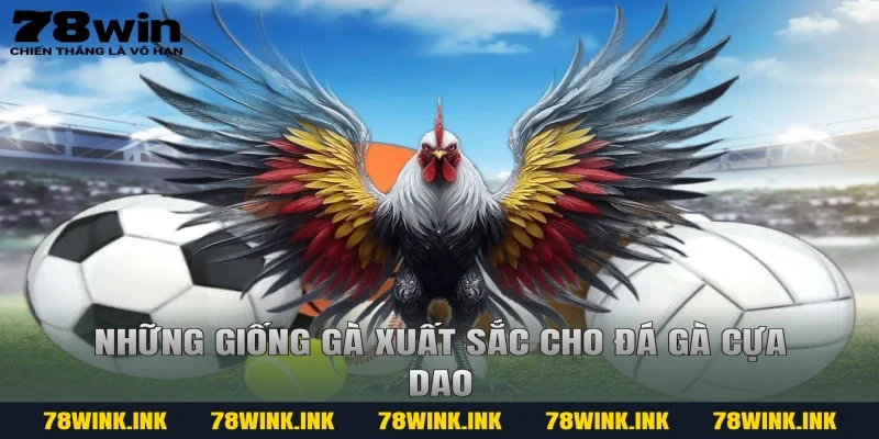 Những giống gà xuất sắc cho đá gà cựa dao