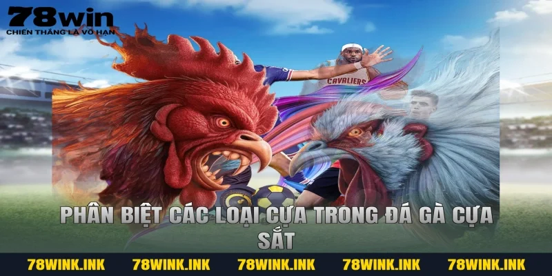 Phân biệt các loại cựa trong đá gà cựa sắt