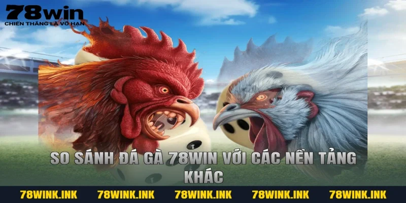So sánh đá gà 78win với các nền tảng khác