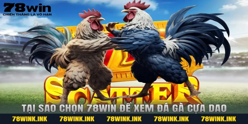 Tại sao chọn 78win để xem đá gà cựa dao