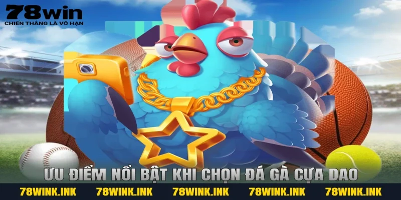 Ưu điểm nổi bật khi chọn đá gà cựa dao